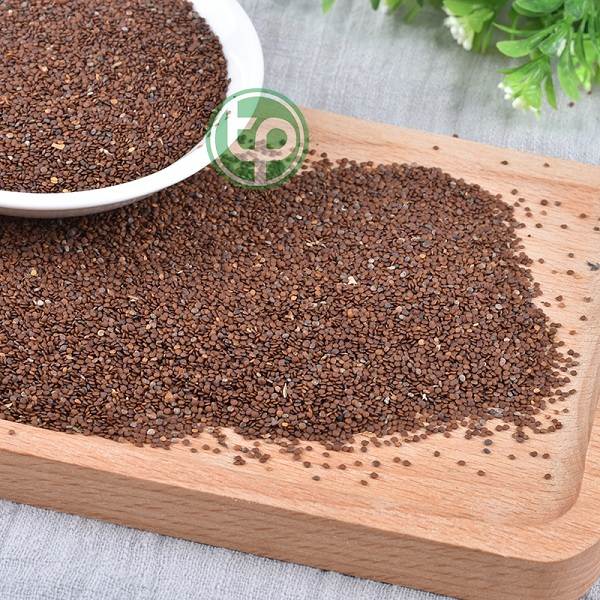 [HOT] Hạt đình lịch (hạt ngũ hoa) 100gr - Thảo Dược Tấn Phát
