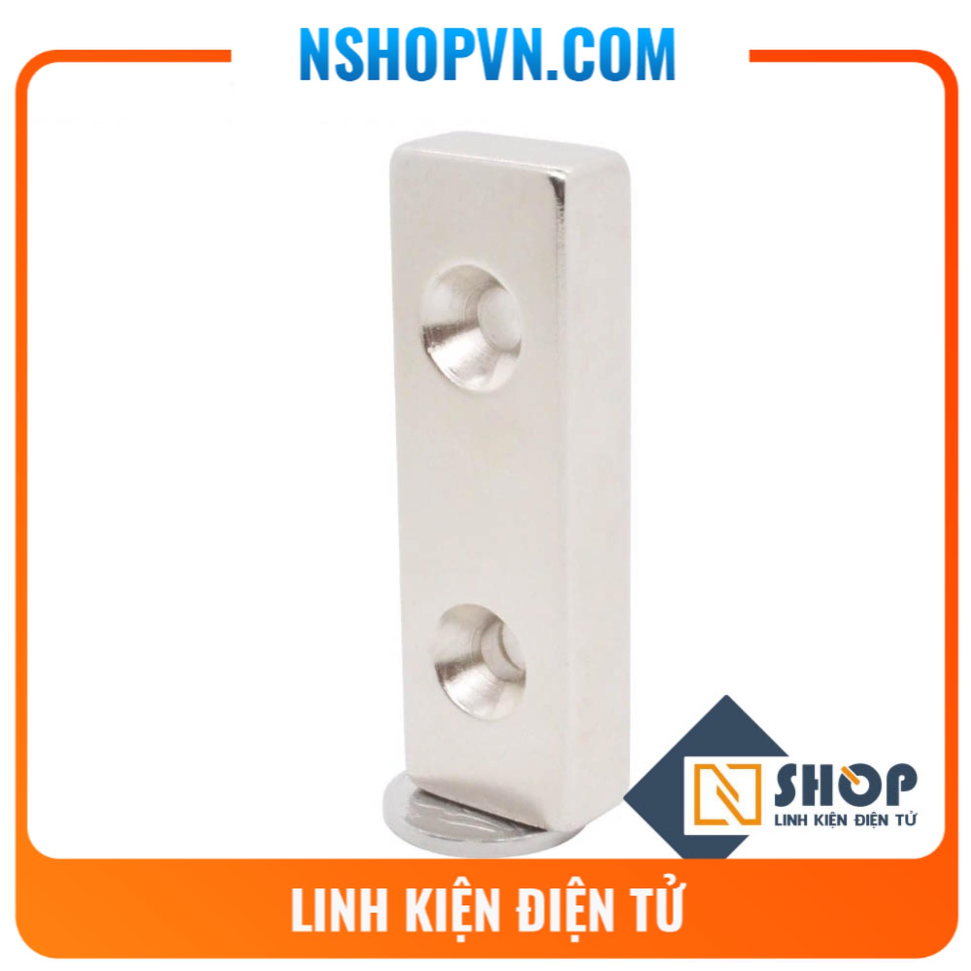 Nam Châm Đất Hiếm 2 lỗ 30x10x5