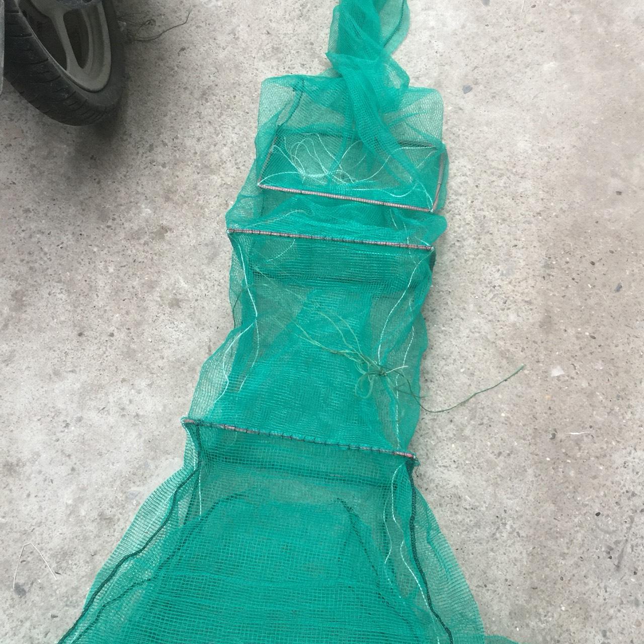 Đăng vét cá dớn bắt cá vây cá