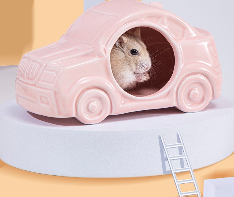 Nhà sứ xe hơi độc lạ dành cho hamster - T3 PETS SHOP