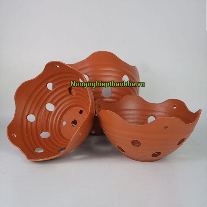 Chậu nhựa trồng lan phi 20cm - cn25