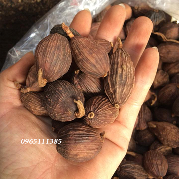 Thảo Quả Khô Tứ Xuyên 100G
