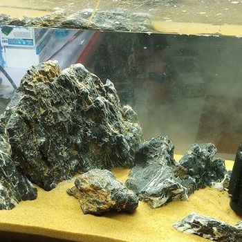 1KG Cát Nắng Vàng Hàng Loại Tốt - Cát Vàng Trang Trí Hồ Cá, Bể Cá Thuỷ Sinh