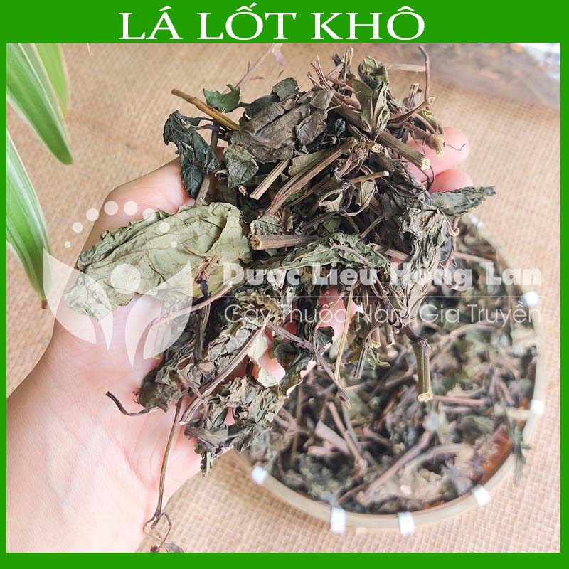 Lá lốt khô đóng gói 1kg - công ty tnhh dược liệu hồng lan