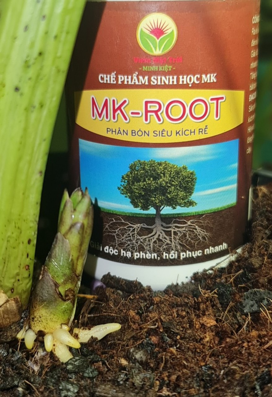 MK ROOT - PHÂN BÓN HỮU CƠ SINH HỌC TẠO RỄ
