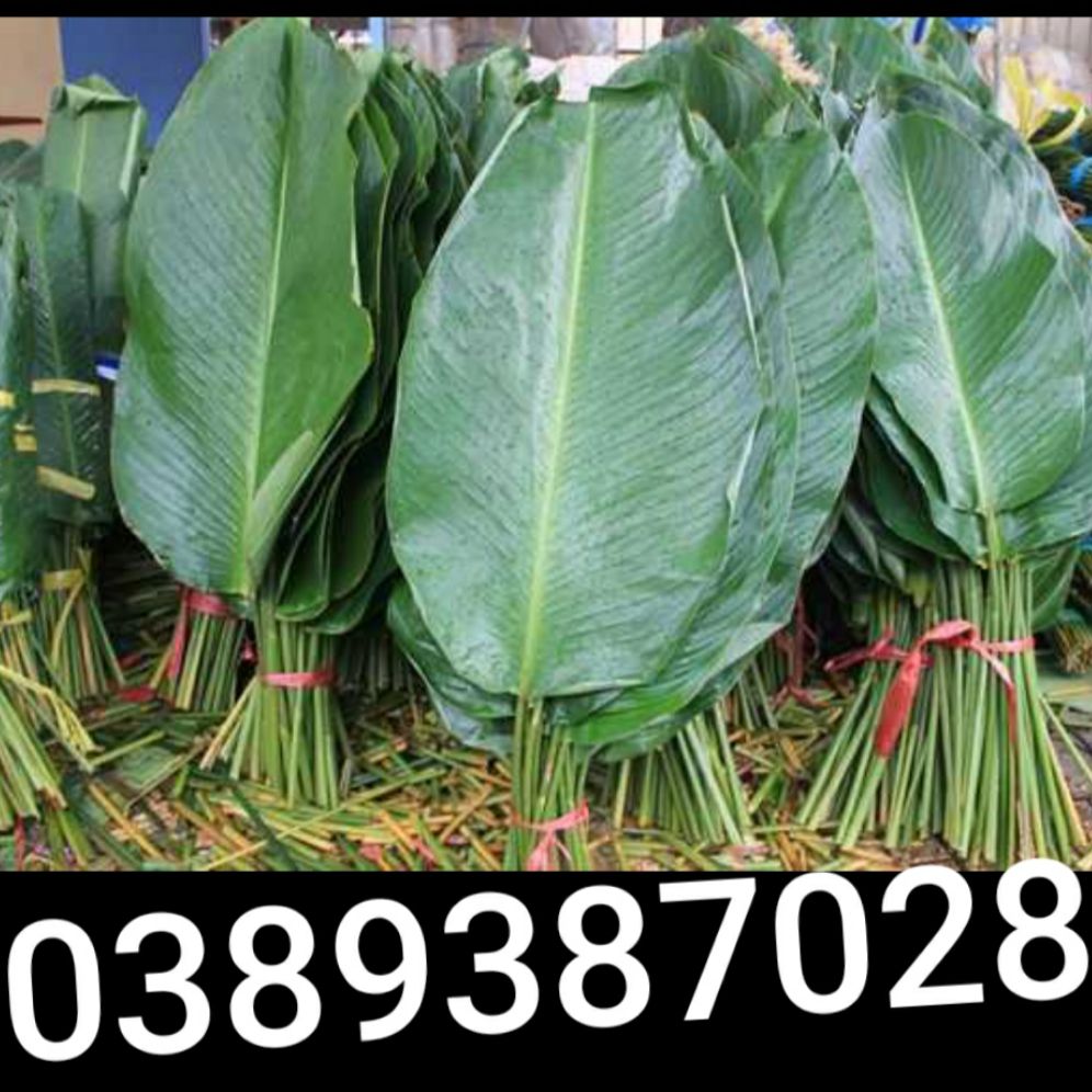 lá dong gói bánh,30 lá và 30 lạt