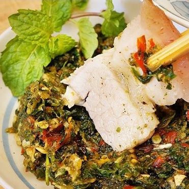 Hạt dổi rừng tây bắc