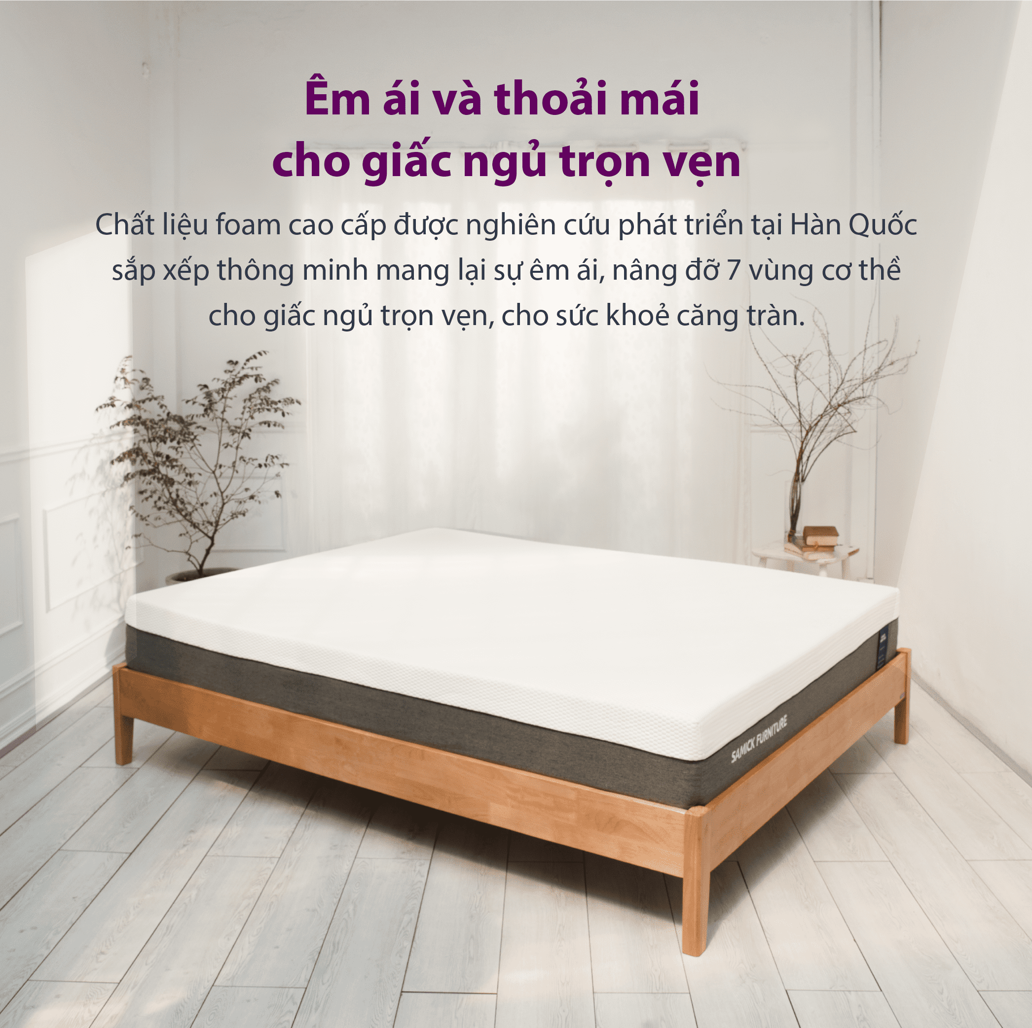 Nệm Cao su Memory Foam Cao Cấp Samick Hàn Quốc - Cosy
