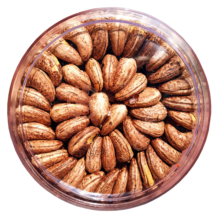 [HCM]500gr Hạt Điều Lụa Loại 1 Xếp Hoa Hiệu TPS