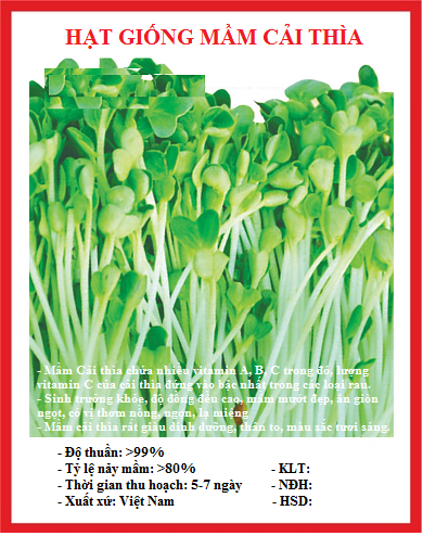hạt giống mầm cải thìa (pak choy sprouts) CT539 - Gói 20gram