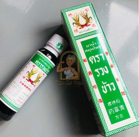 [Hàng chính hãng] Dầu bông lúa Minyak Ubat Cap Bunga Badi Thái Lan 24ml