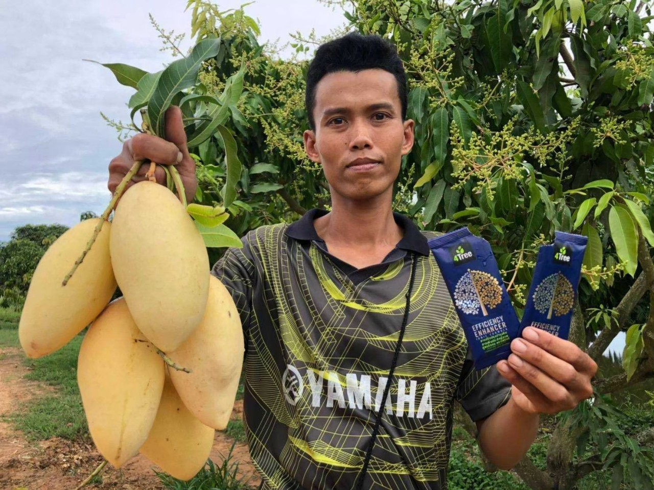4 tree Phân Bón Hữu Cơ Cho Rau Củ Quả