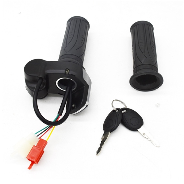 36V 48V 60V electric bicycle scooter