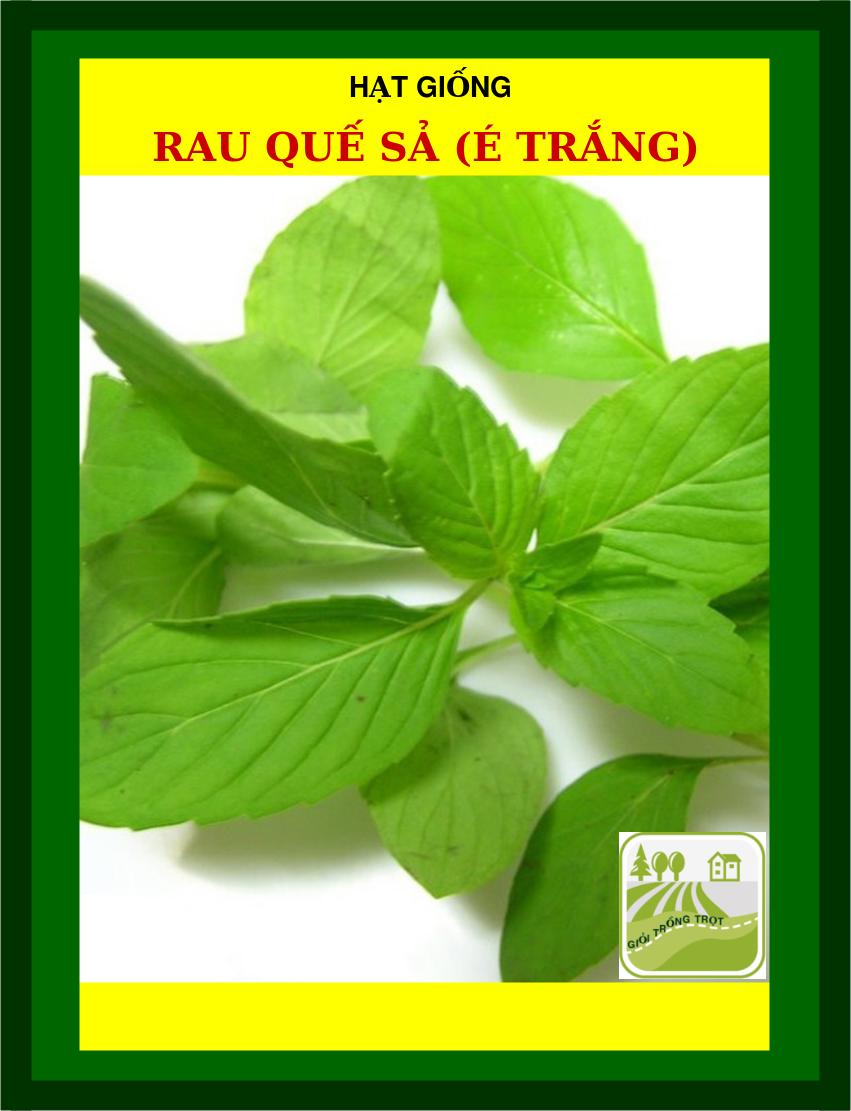 Hạt Giống Rau Quế Sả (Rau Thơm Sả) - 1Gram