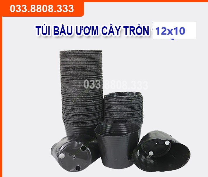 Bầu tròn ươm cây 12x10 - hàng loại 1