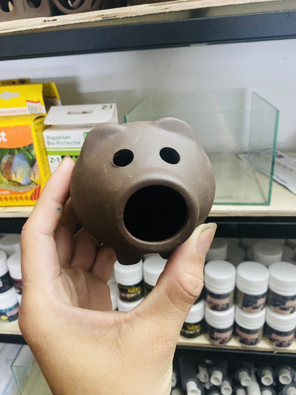 Đồ Chơi Trang TRí cho tép bể tép.