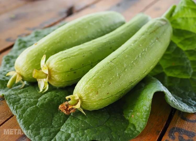 GÓI 5 HẠT GIỐNG MƯỚP HƯƠNG TA