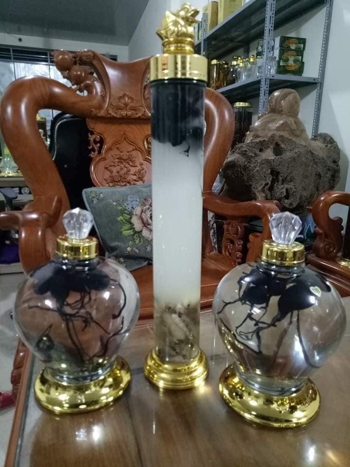 200gr Sâm ô linh - LOẠI TƯƠI