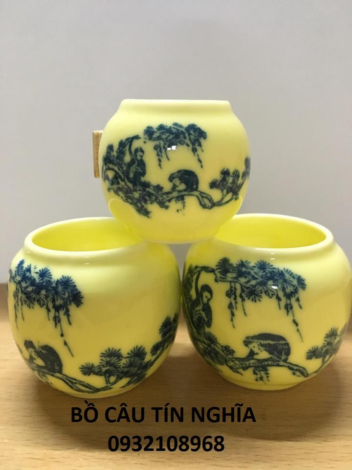 [Combo 3]Cóng Xứ Chào Mào Rẻ 05