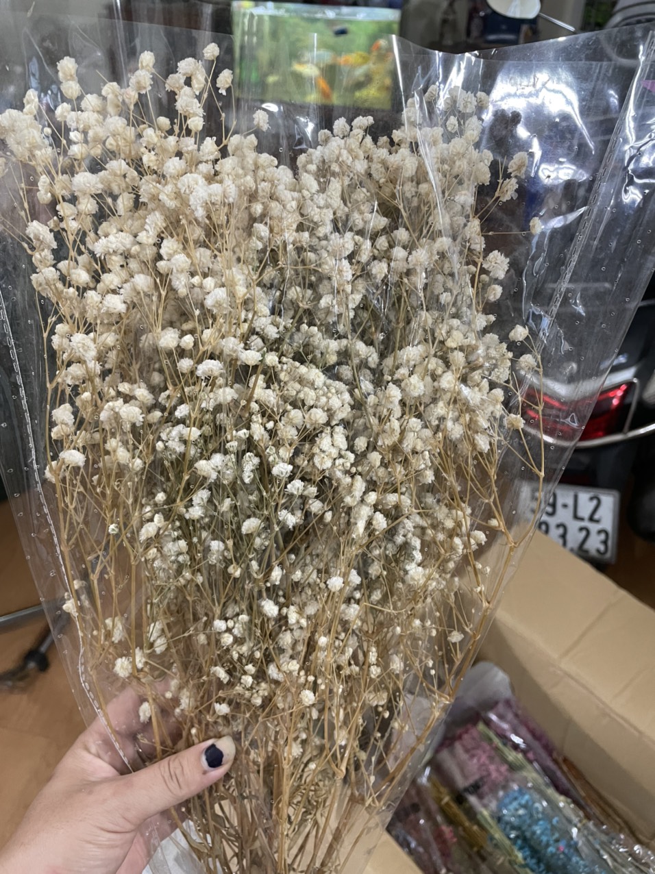 [HCM]HOA BABY KHÔ Bó 100g