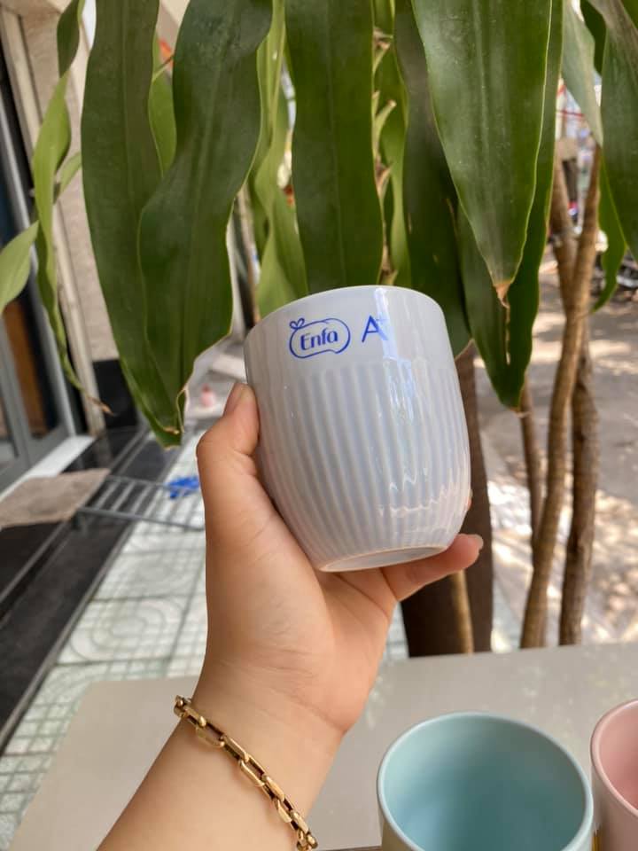 Bộ 3 ly sứ Donghwa quà enfa