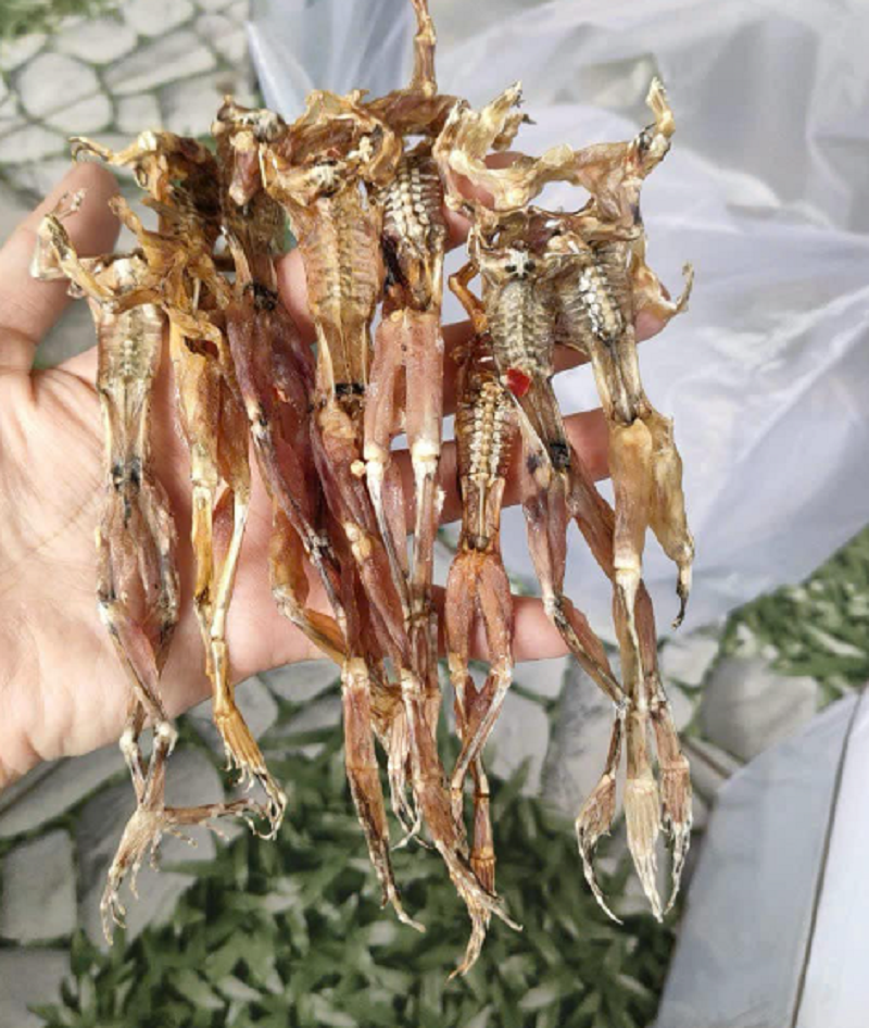Khô nhái siêu ngon - vựa khô yến vy - đặc sản an giang