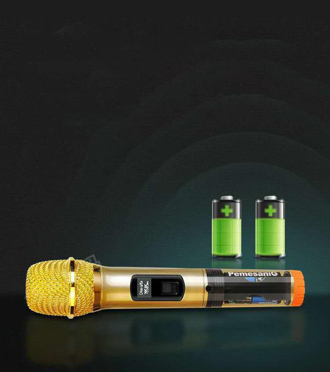 BỘ MICRO KHÔNG DÂY SUNRISE SM-2.2 LOẠI 2 MICRO