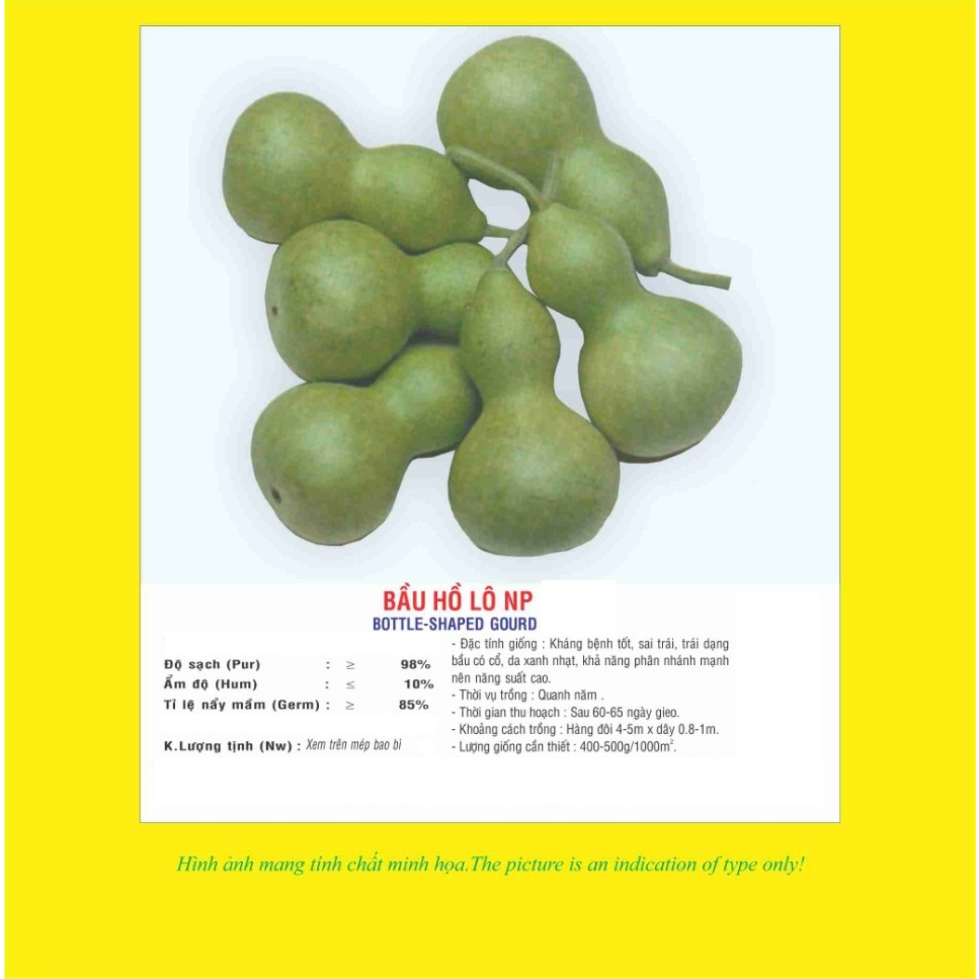 Hạt giống Bầu Hồ Lô VTP02 | Vạn Tín Store