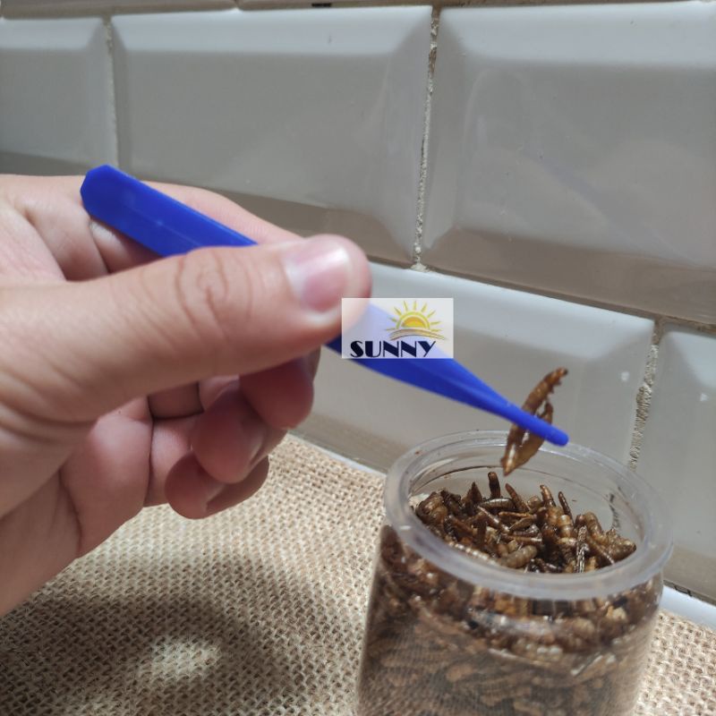 Kẹp Gắp Mini Đút Thức Ăn Thú Nhỏ