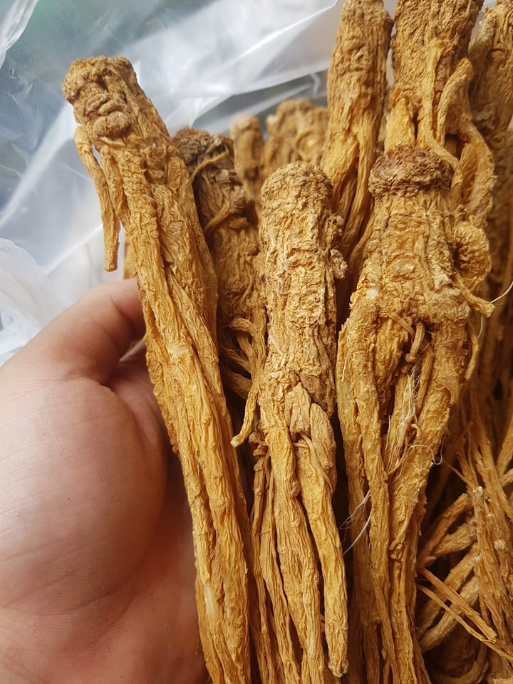 1kg sâm đương quy khô