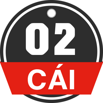 2 logo 10cm x 10cm Baby In Car sticker