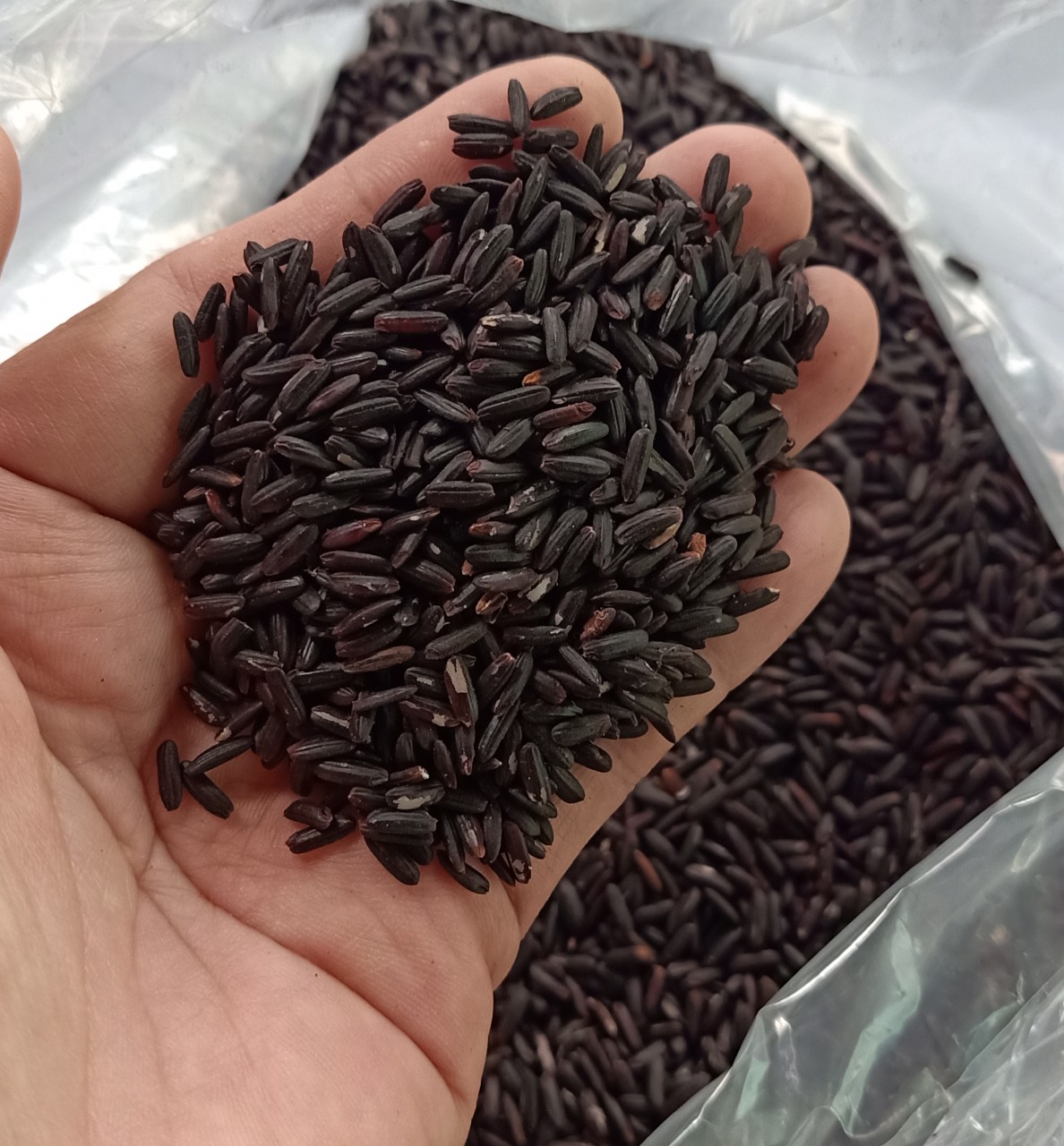 Gạo lức tím than 3kg