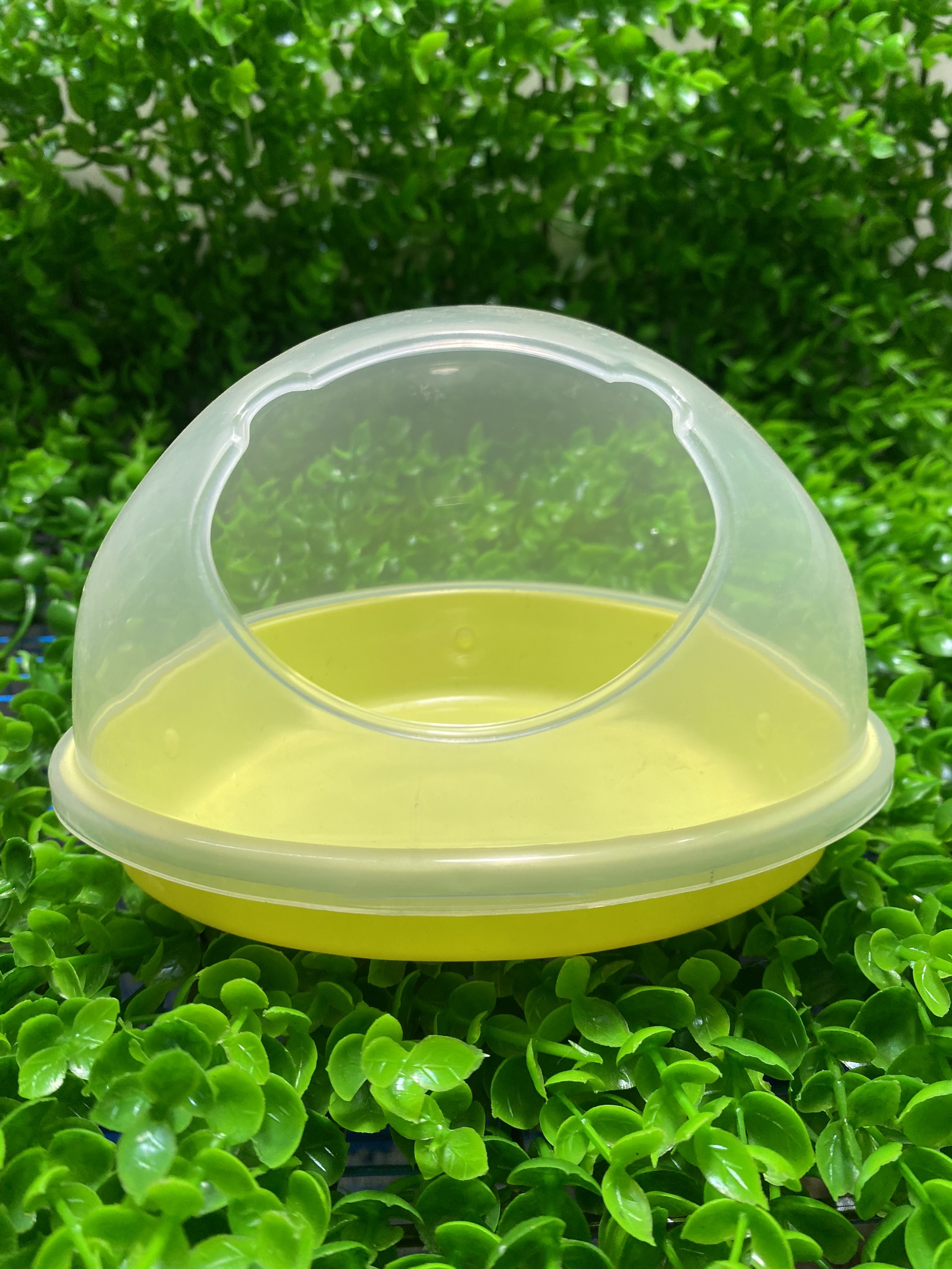 Nhà tắm lớn cho hamster