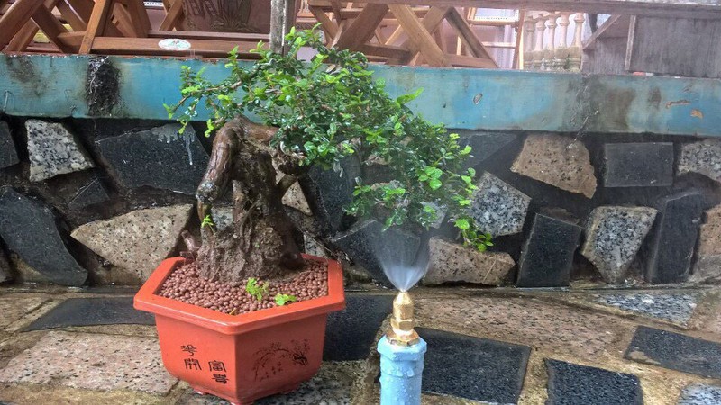 10 béc phun sương đồng chân ren 21
