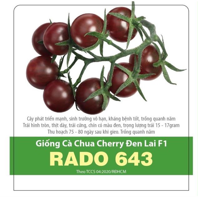Hạt giống RĐ - Cà chua cherry đen 643-12k