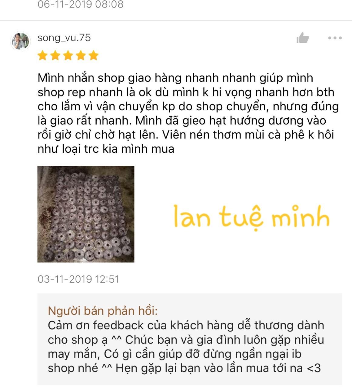 (Included feedback real) 200 tablets coir ươm beads, germ cover blooming