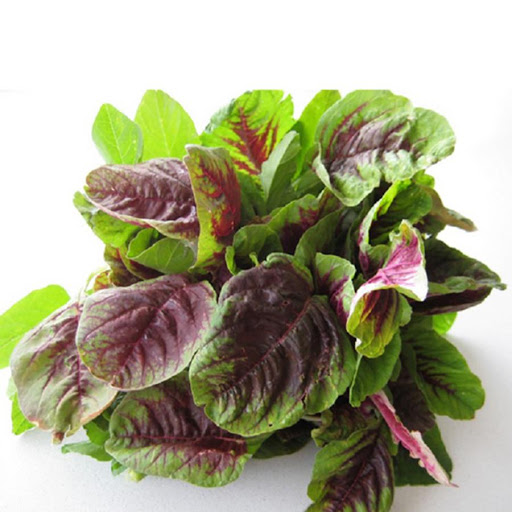 Hạt giống rau Dền tía (Dền khoang) 20 gram