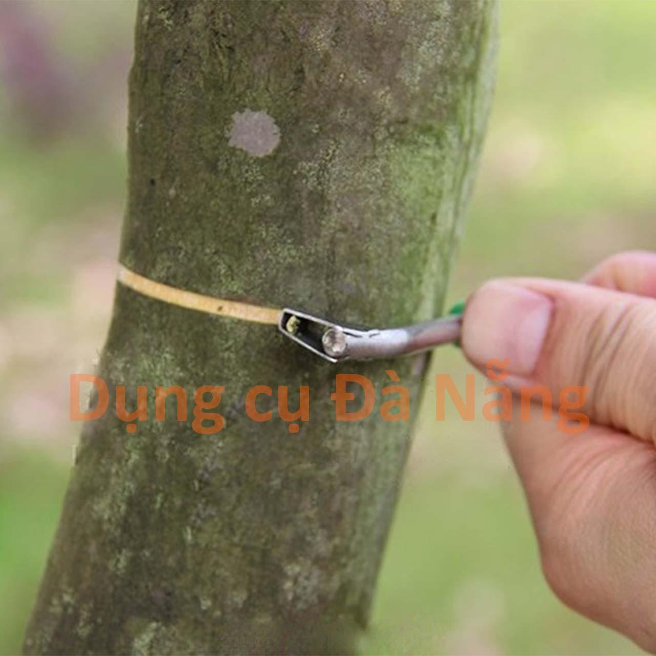 Khoanh vỏ cây trồng các cỡ