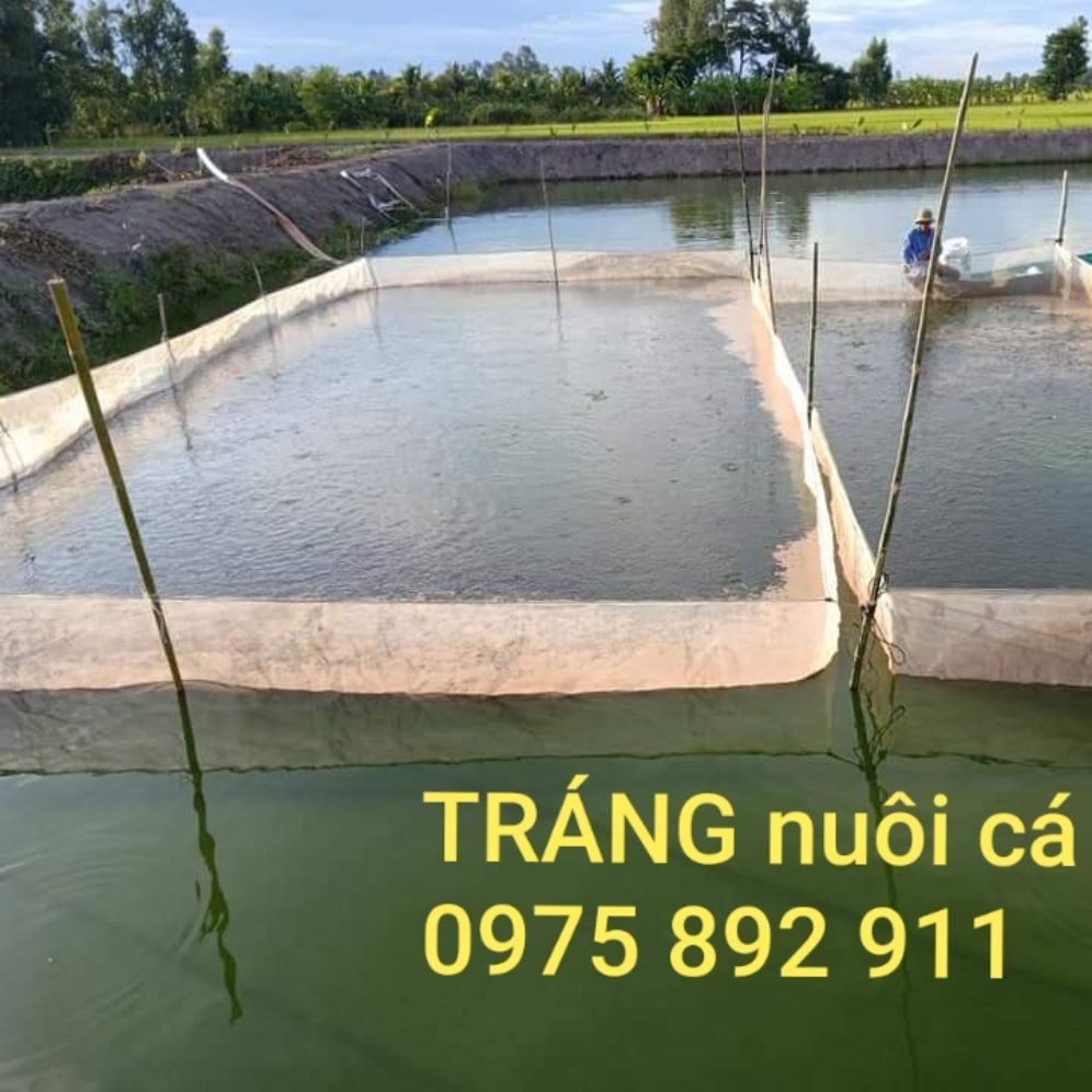 Tráng vèo lồng nuôi ốc , ếch ,cá - loại 10x5x1,3