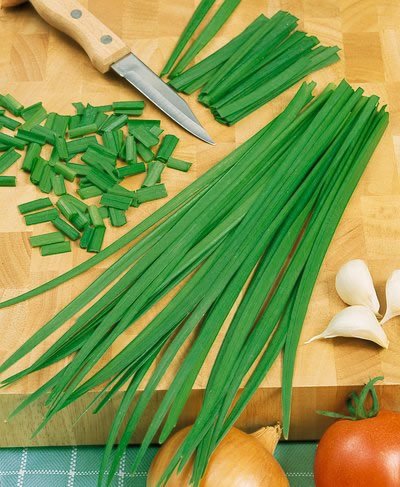 Hạt giống Hẹ Nhật Bản Cao Sản 1gr