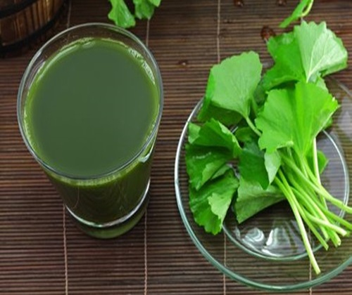 [HCM]Hạt giống rau má Phú Nông - gói 1gr