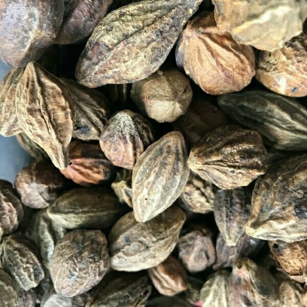 500g quả kha tử