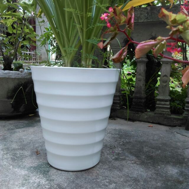 Combo 5 chậu vòng tròn đủ size trồng cây, hoa