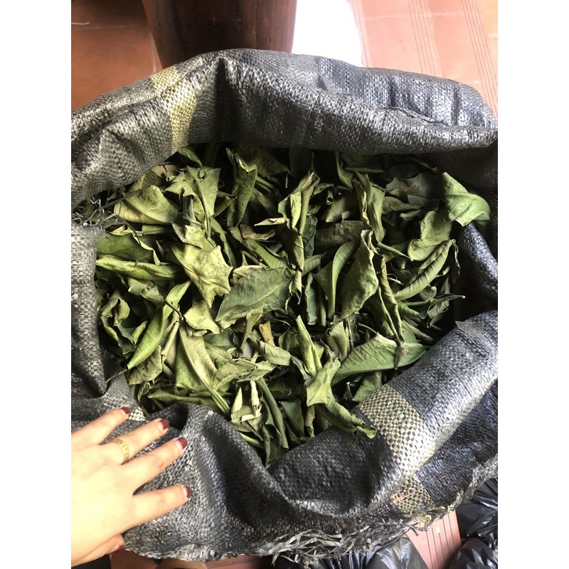 1kg lá bưởi khô hàng looại 1