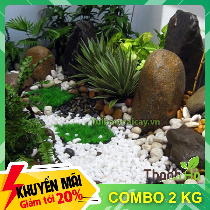 Sỏi đá trắng trang trí tiểu cảnh kích thước 2x3cm
