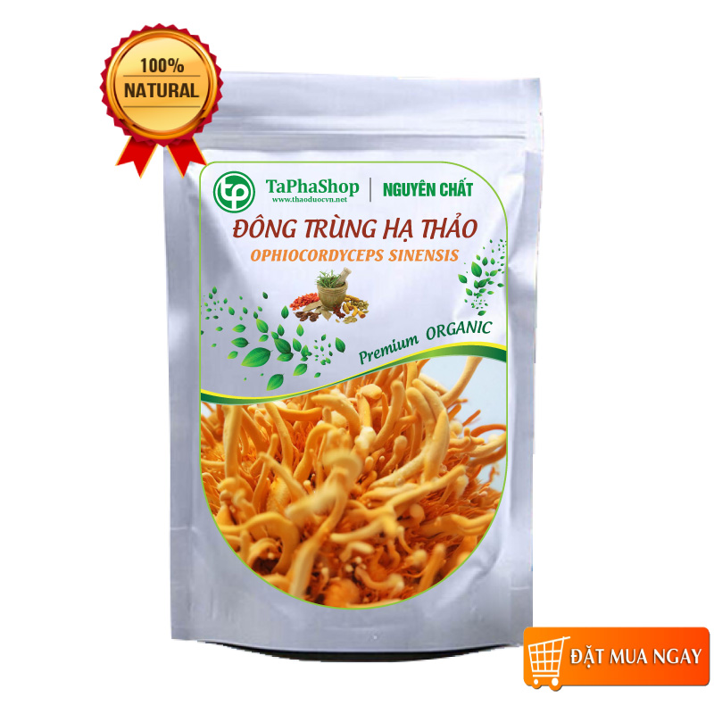 Đông trùng hạ thảo khô 100g - Thảo Dược Tấn Phát