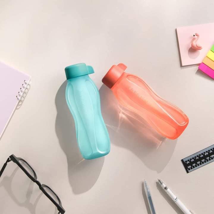 Bình nước Eco Bottle 310ml Tupperware