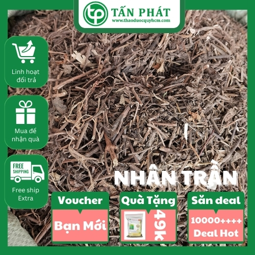 Nhân trần 1kg Tấn Phát - Hàng công ty chất lượng cao - Thảo Dược Tấn Phát