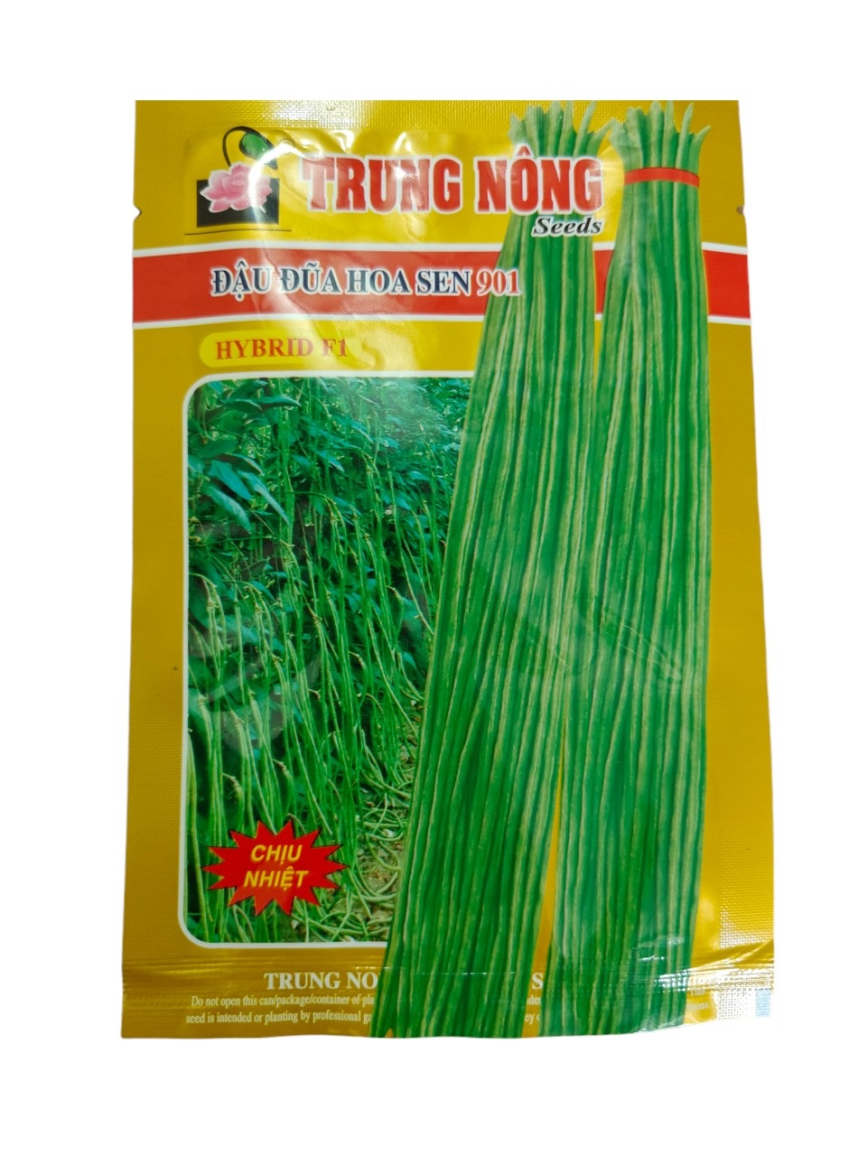 Hạt giống đậu đũa trái dài 20gr/50gr siêu quả, đậu dải áo, quả xanh dài
