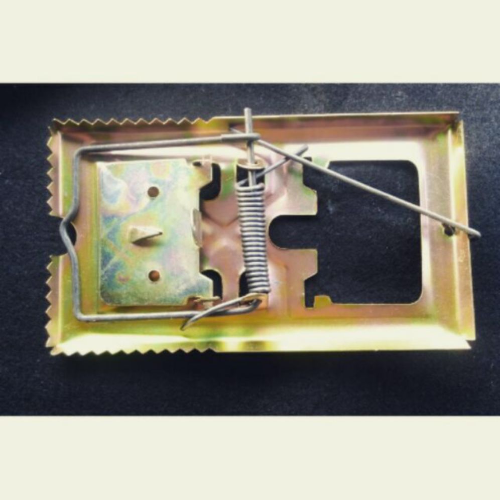 Bẩy chuột sập răng cưa